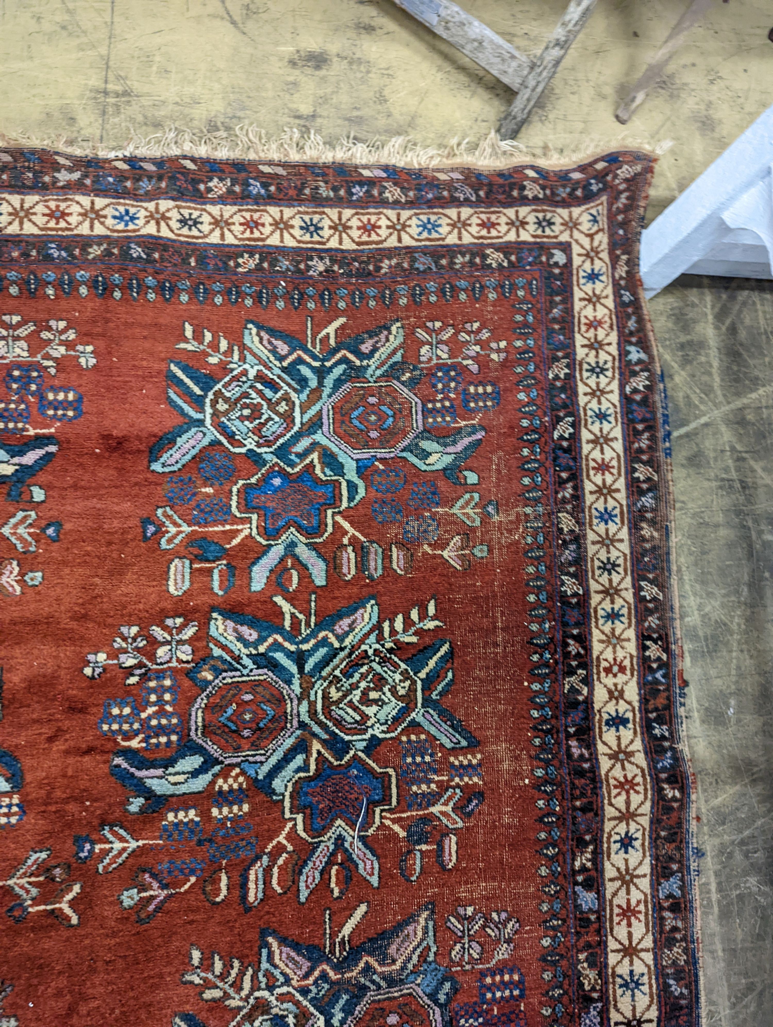 A North West Persian red ground rug with stylised foliate motifs, 185 x 157cm